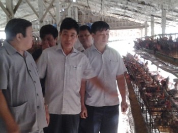 Chủ tịch Hội NDVN thăm làng tỷ phú 50 năm nuôi gà đẻ ở miền Tây