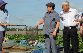 Chủ tịch Hội NDVN thăm xã nuôi 20.000 tấn cá, bán 24.000 tấn trái cây