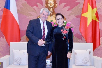 Chủ tịch Quốc hội Nguyễn Thị Kim Ngân tiếp Phó Chủ tịch Hạ viện Séc