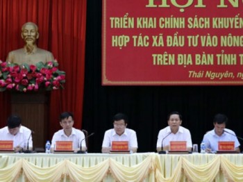 Thái Nguyên khuyến khích doanh nghiệp, hợp tác xã đầu tư vào nông nghiệp nông thôn