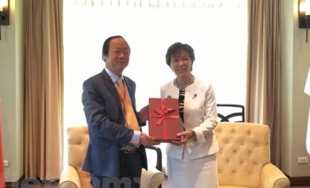 Nhật ủng hộ ưu tiên môi trường trong năm Việt Nam làm Chủ tịch ASEAN