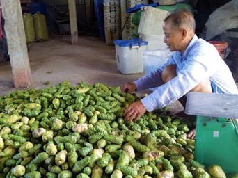 Sản vật tự nhiên rừng U Minh giúp nhiều hộ dân thoát nghèo
