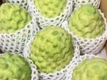 Những trái cây Đài Loan giá tiền triệu hút khách Việt