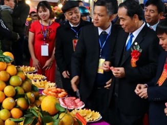 Cây ăn quả có múi - Cầu nối kinh tế cho tỉnh Hòa Bình