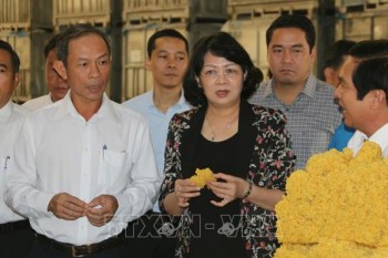 Phó Chủ tịch nước Đặng Thị Ngọc Thịnh làm việc tại Tổng Công ty Cao su Đồng Nai