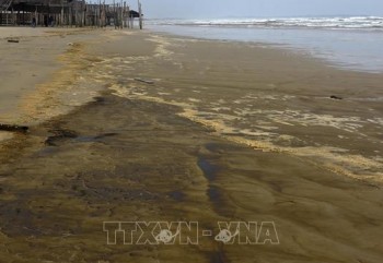 Vụ nước biển đổi màu ở Quảng Ngãi: Một trong 4 mẫu có nồng độ pH vượt ngưỡng