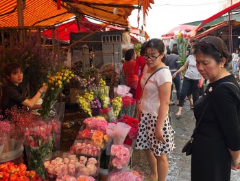 Hà Nội sẽ có 51 điểm chợ hoa xuân phục vụ Tết