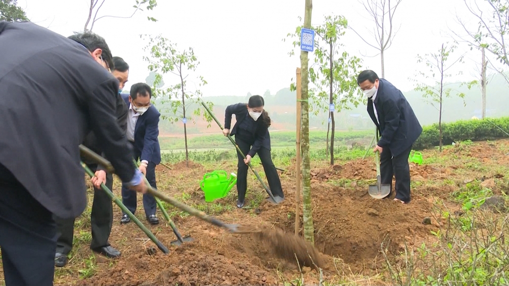 Thái Nguyên: Tiên phong triển khai số hóa trong quản lý cây xanh