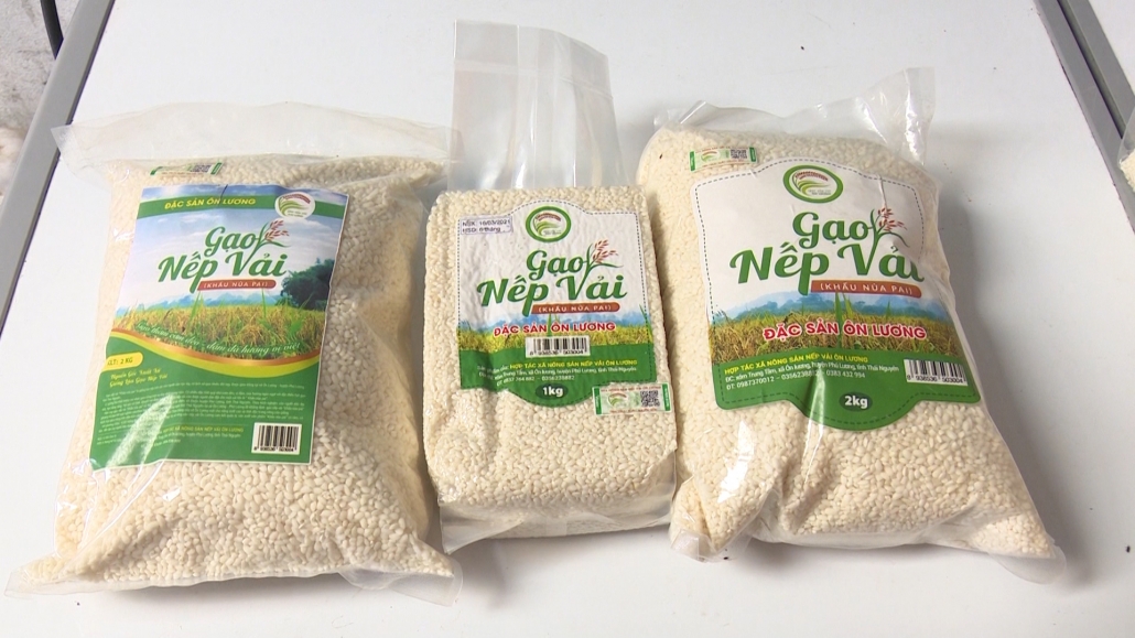 Xây dựng chuỗi liên kết sản xuất lúa gạo ngay tại địa phương