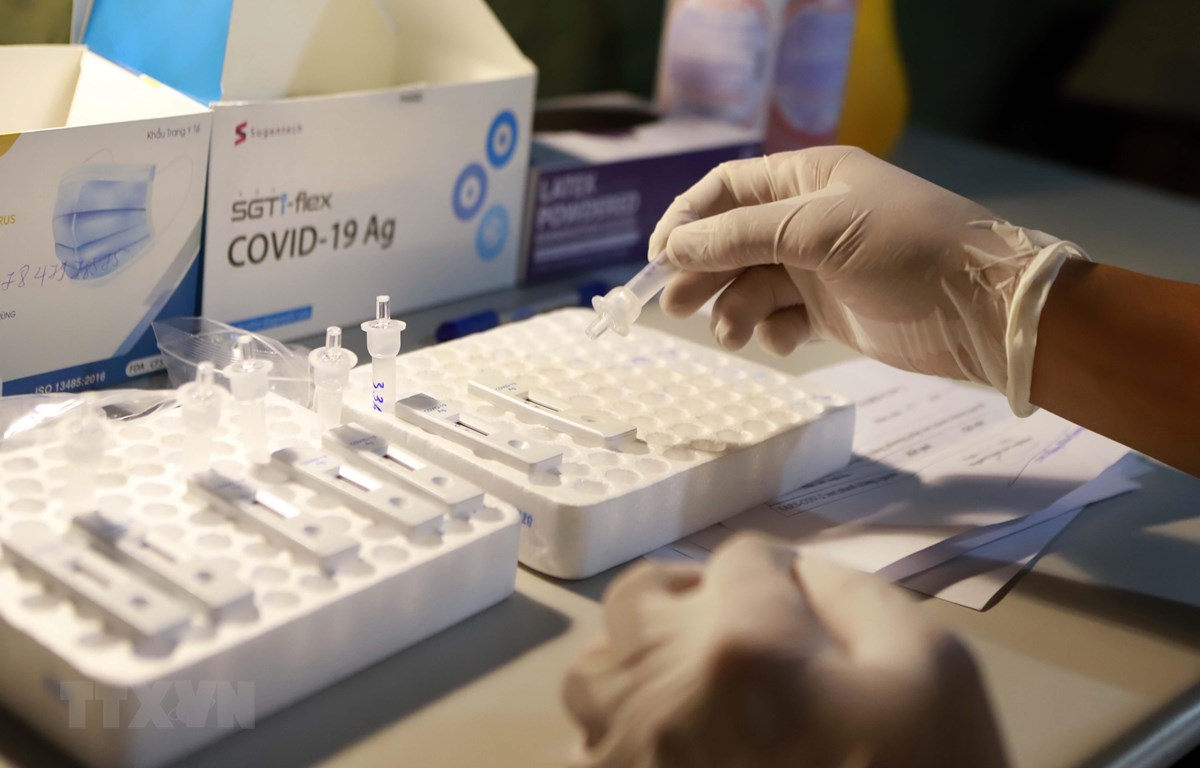 Kỹ thuật viên Trung tâm y tế huyện Tam Đảo test nhanh mẫu bệnh phẩm tìm virus SARS-CoV-2. (Ảnh: Hoàng Hùng/TTXVN)