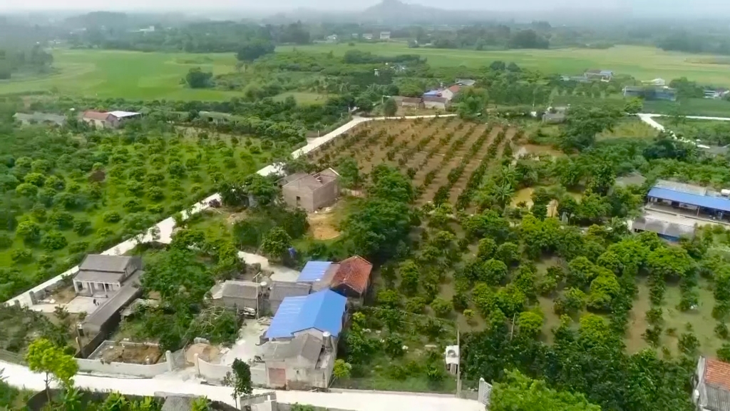 Phản biện xã hội Dự thảo Đề án Phát triển nông nghiệp chủ lực tỉnh Thái Nguyên