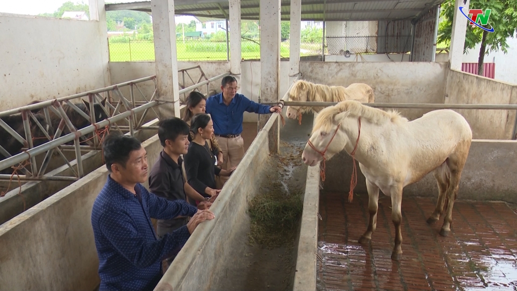 Thái Nguyên đẩy mạnh thực hiện chuỗi liên kết để ngành chăn nuôi phát triển bền vững