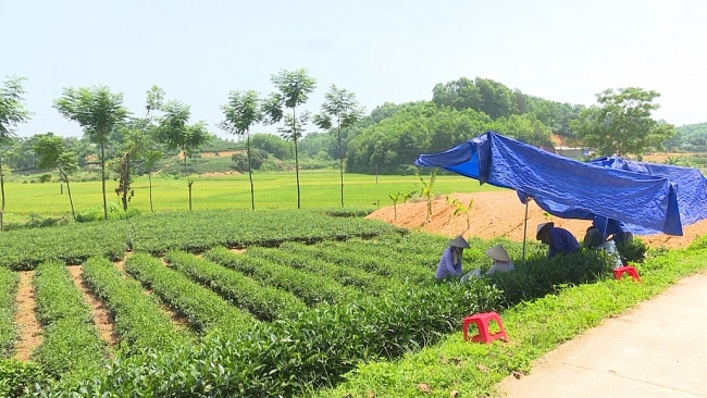 Cần thêm nguồn lực để phát triển làng nghề Phú Lương