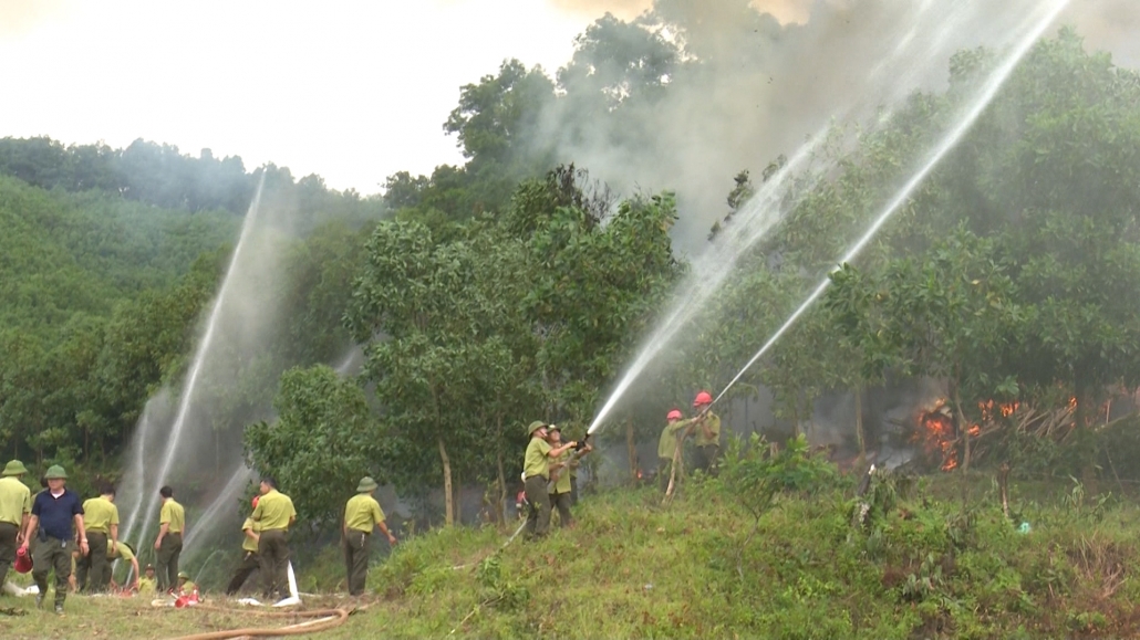 Thái Nguyên chủ động phòng cháy, chữa cháy rừng vào mùa hanh khô