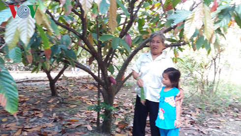 Nhà vườn ở Tiền Giang thiệt hại nặng do đàn sóc phá hoại
