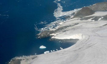 Rừng xanh có thể bao phủ Nam Cực trong tương lai