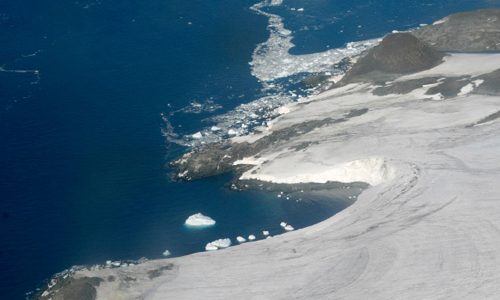 Rừng xanh có thể bao phủ Nam Cực trong tương lai