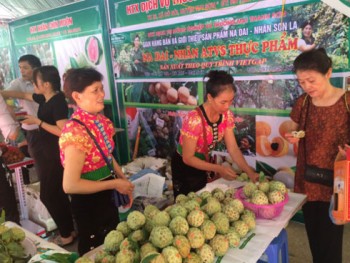 Hà Nội đẩy mạnh kết nối tiêu thụ nông sản và du lịch của Sơn La
