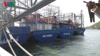 Bình Định: 20 chủ tàu cá vỏ thép nợ quá hạn gần 13 tỷ đồng