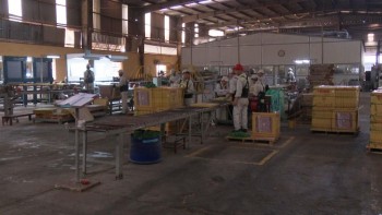 Thái Nguyên: Lĩnh vực sản xuất vật liệu xây dựng tăng trưởng khá