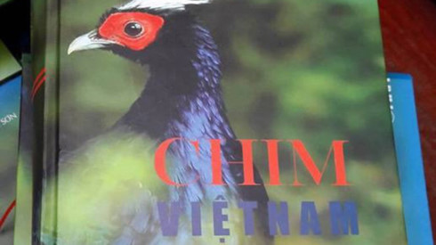Vi phạm bản quyền, sách “Chim Việt Nam” bị thu hồi và tiêu hủy