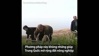 Hỗn hợp giúp Trung Quốc biến sa mạc thành đất trồng