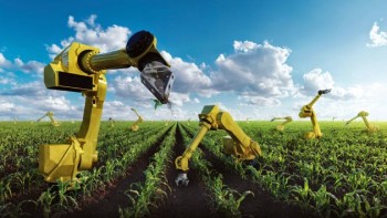 Nếu robot này được bán tại Việt Nam, nhiều nông dân sẽ mất việc?