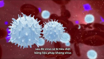 Phương pháp loại bỏ virus HIV khỏi cơ thể