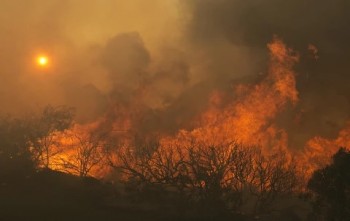 Cháy rừng lan rộng 170km làm 40 người thiệt mạng ở California, Mỹ