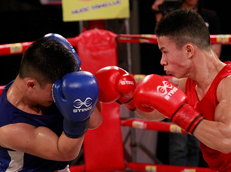 Thách đấu boxing - trận đấu của chiến binh dũng cảm