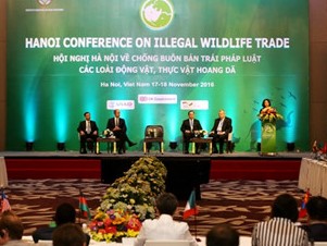 Hội nghị quốc tế về chống buôn bán động vật, thực vật hoang dã