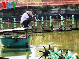 Quảng Trị tạm cấp hơn 900 triệu hỗ trợ ngư dân bị sự cố môi trường