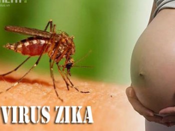 Số người nhiễm Zika ở TP HCM đã lên tới 79