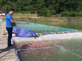 Thái Nguyên: Sản lượng thủy sản đạt trên 9.300 tấn