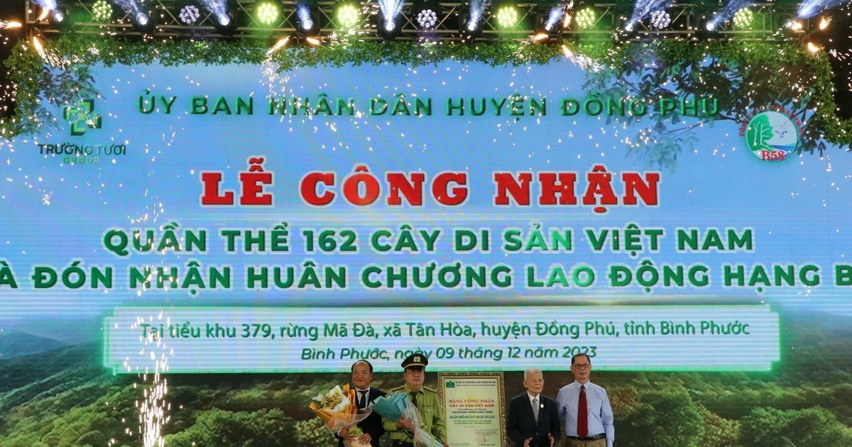 Bình Phước: Công nhận Quần thể 162 Cây Di sản Việt Nam ở Đồng Phú