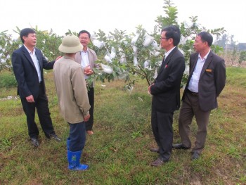 Xây dựng NTM tại Thanh Hóa: Thẩm định khách quan, bền vững thực chất