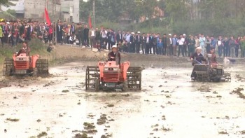 Thị xã Phổ Yên: Tưng bừng Lễ hội xuống đồng đầu Xuân mới