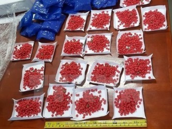 Triệt phá vụ vận chuyển 6.800 viên ma túy tổng hợp từ Lào về Việt Nam
