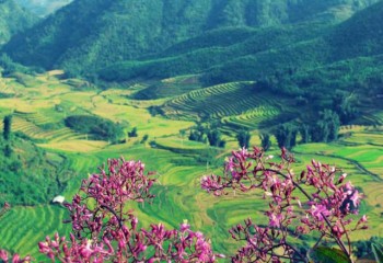 7 thung lũng đẹp như tranh ở Việt Nam