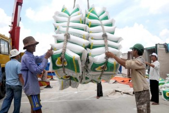 Giá và lượng gạo xuất khẩu Việt Nam đang giảm mạnh
