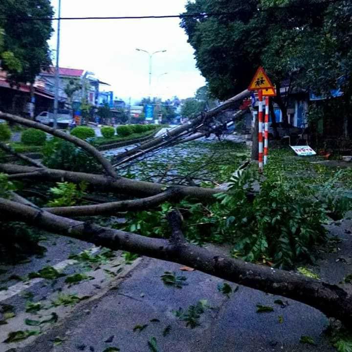 Gió lốc kèm mưa đá bất thường càn quét, tàn phá Sơn La, Bắc Kạn