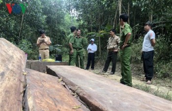 Khởi tố nhóm đối tượng có hành vi phá rừng ở Đắk Lắk