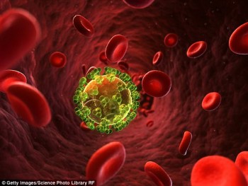 Nghiên cứu đột phá trong điều trị AIDS: "Tiêm" kháng thể HIV cho tế bào