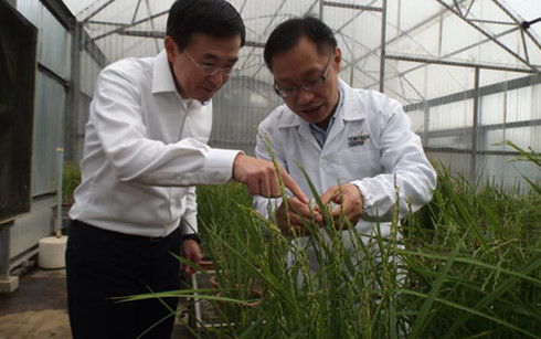 “Cơn sốt” nông nghiệp công nghệ cao tại châu Á