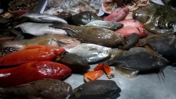 Hấp dẫn hải sản tươi rói ở chợ đêm Lý Sơn
