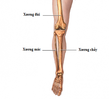 Bị cắt chân do kiểm tra chấn thương không đúng quy trình?