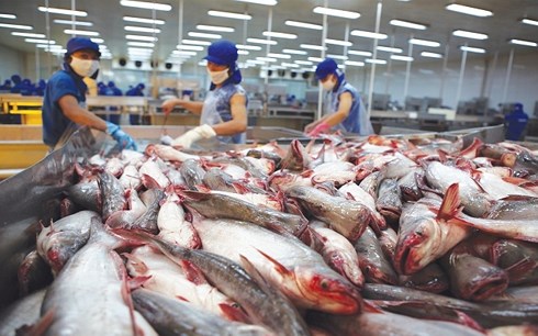 Đại sứ Daniel Kritenbrink: Thủy sản Việt Nam vẫn “rộng cửa” vào Mỹ