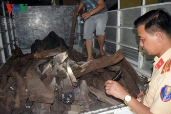 Thừa Thiên-Huế: Bắt giữ xe chở gỗ Trắc không rõ nguồn gốc