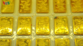 Giá vàng hồi phục nhanh tăng 250.000 đồng/lượng trong tuần