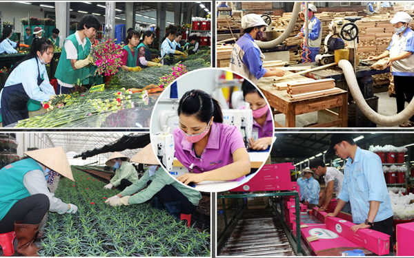 50 năm thực hiện Di chúc của Chủ tịch Hồ Chí Minh: Khát vọng phát triển kinh tế, nâng cao đời sống nhân dân